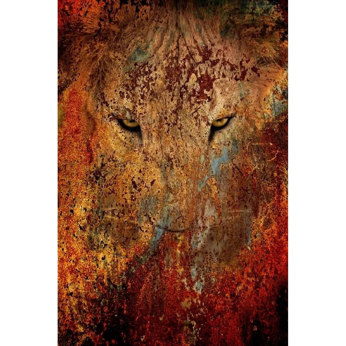 The King Weathered Lion photographic art print by Cobra Art