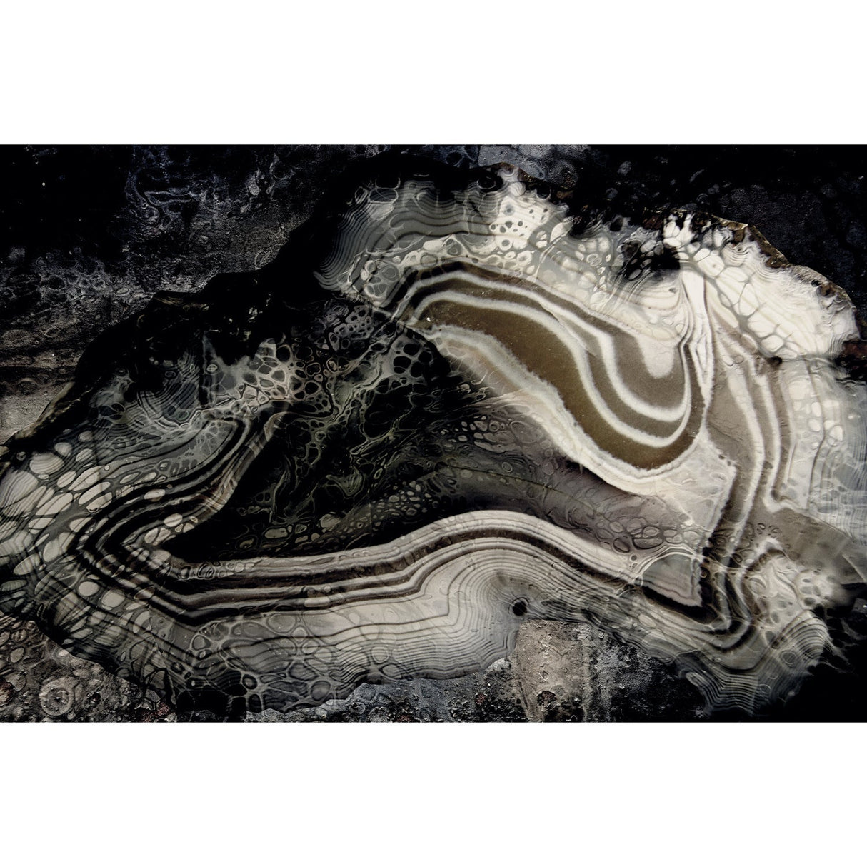 The Milky Way Black & White Swirl photographic art print by Cobra Art