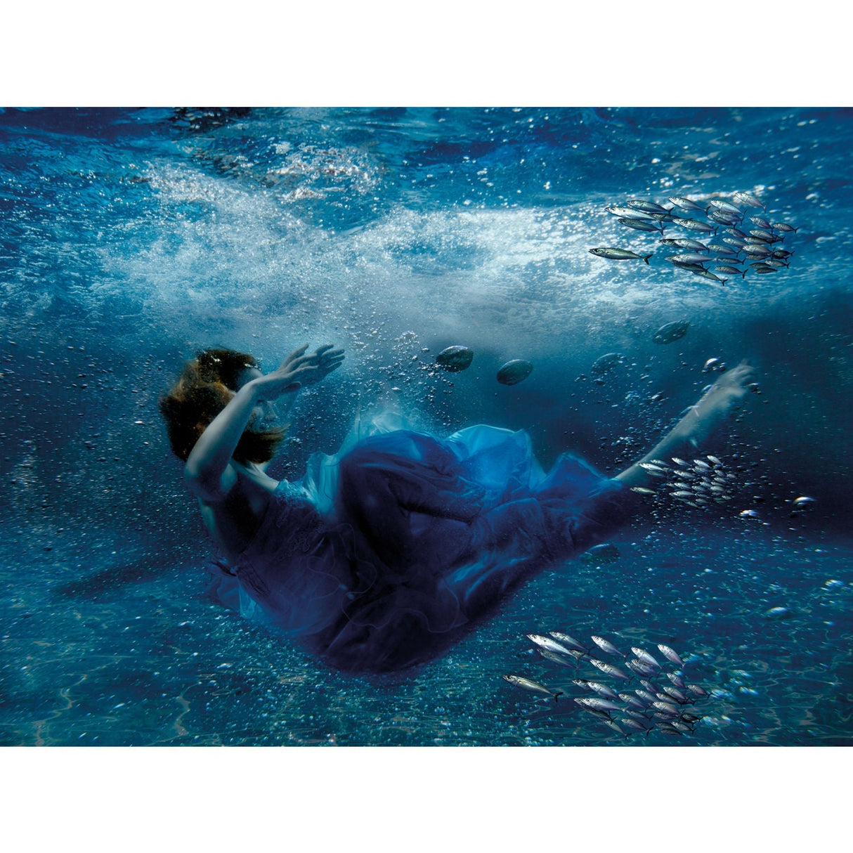 The Fallen Ballerina Woman Underwater photographic art print by Cobra Art