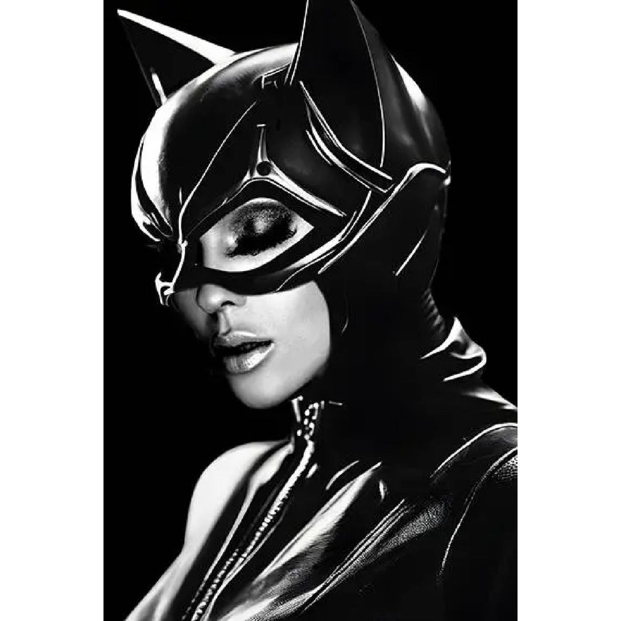 Black & White Catwoman Photographic Art – Some Like It – front view