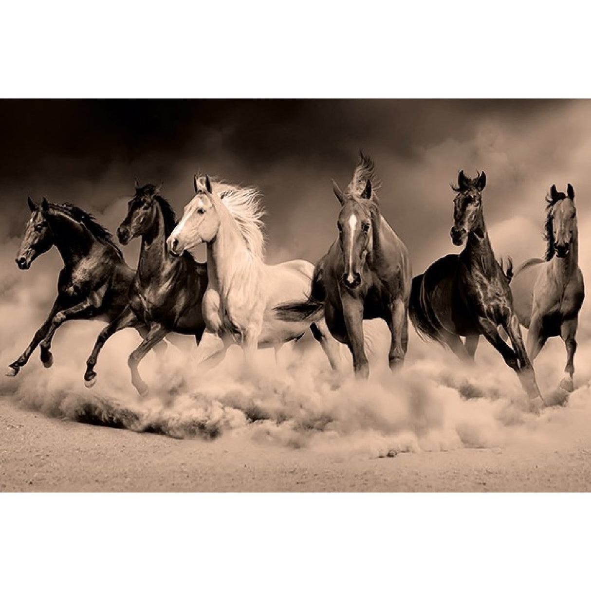 Desert Royals Wild Horses Photographic Artwork art print by Cobra Art