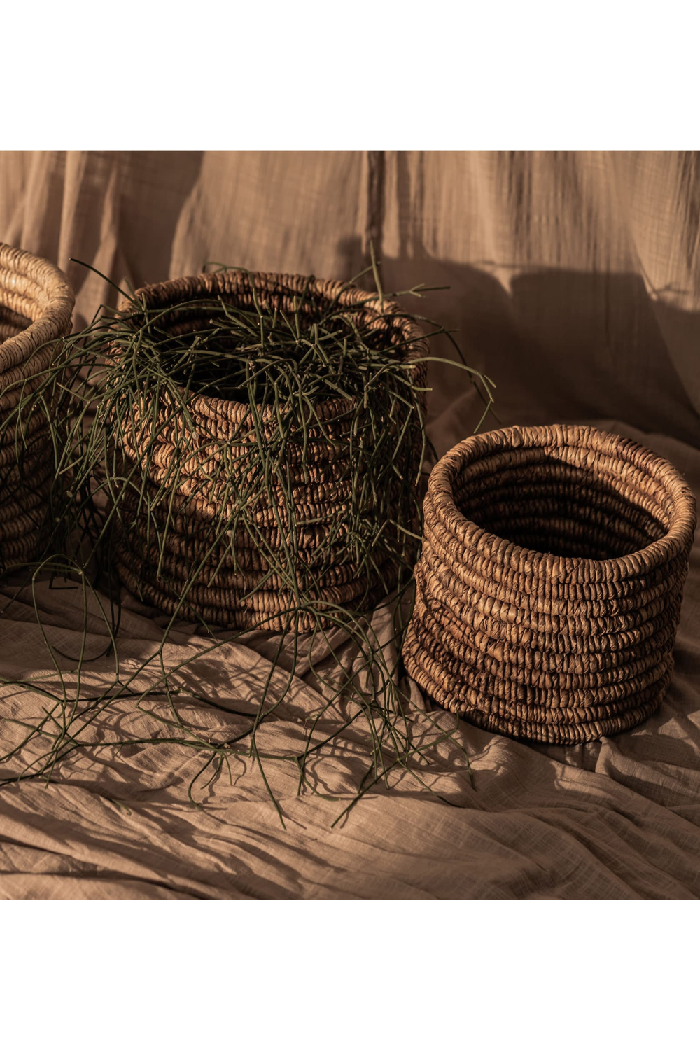 Round Woven Abaca Basket Set (2) - M | dBodhi Caterpillar Ambang | OROA.com
