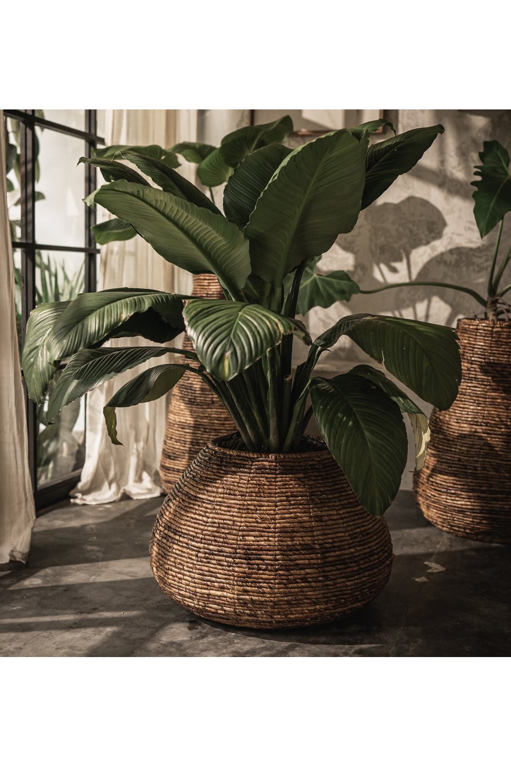 Two-Toned Abaca Basket Planter | dBodhi Java | OROA.com