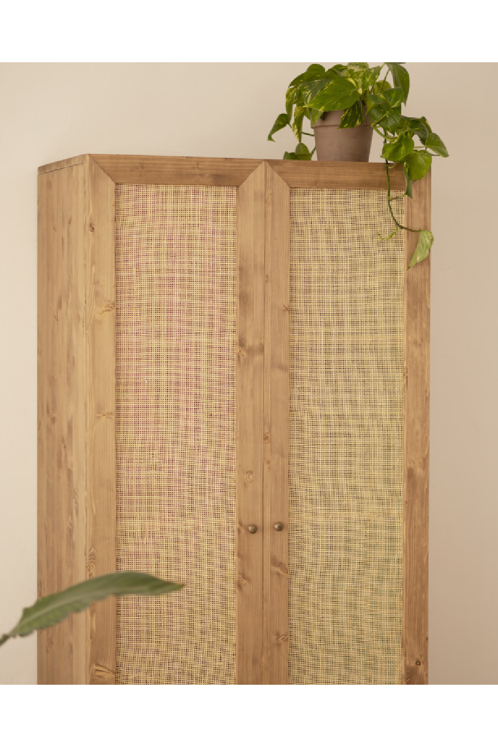 Rattan 2-Door Cabinet | Decowood Frida | Oroa.com