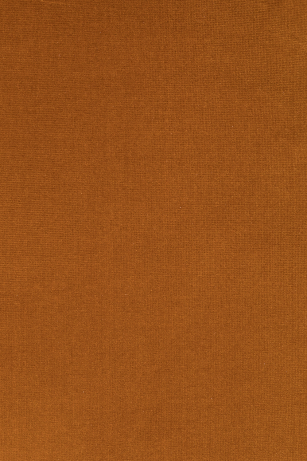 Amber Lounge Chairs | Dutchbone Glodis | OROA.com