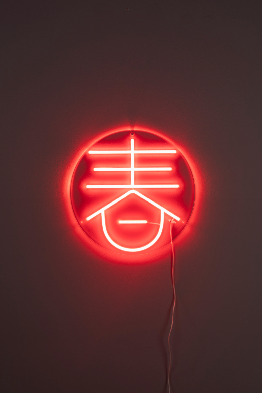 Neon Wall Light | Oroa.com