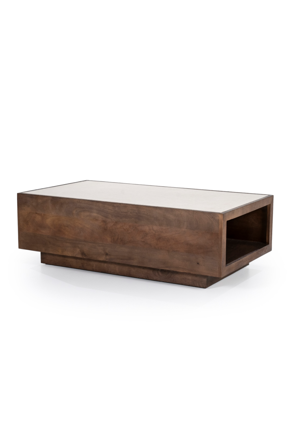 Mango Wood Box Coffee Table | Eleonora Hazel | OROA.com