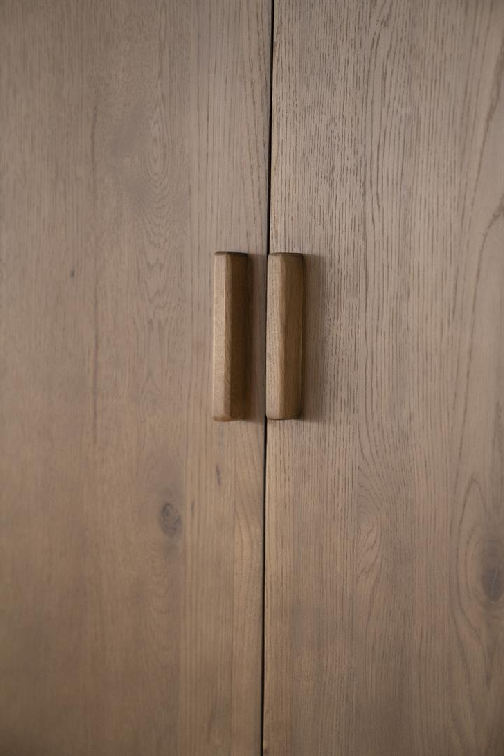 Lacquered Oak 2-Door Cabinet | Oroa.com