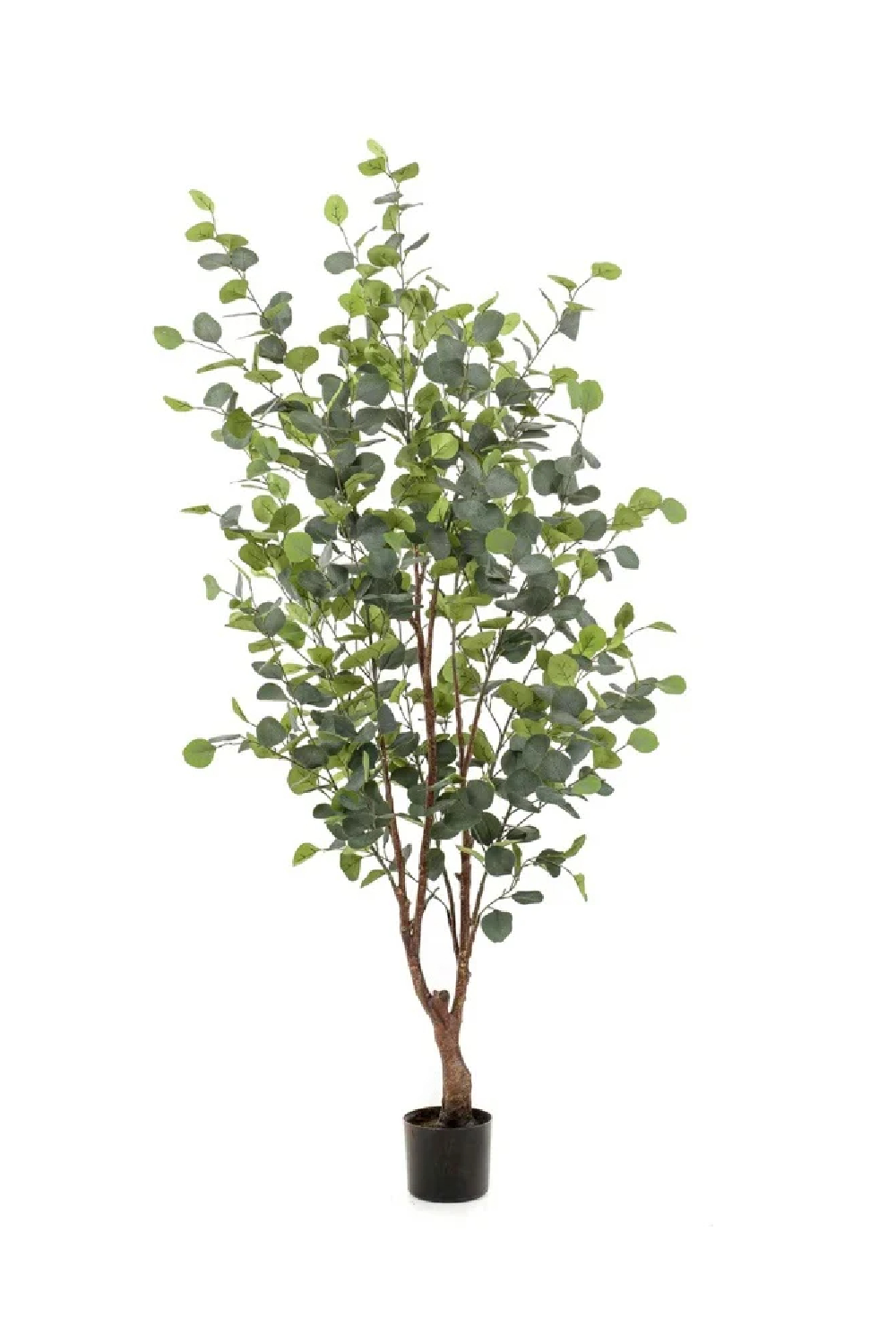 Potted Artificial Tree Set (4) M | Emerald Eucalyptus | Oroa.com