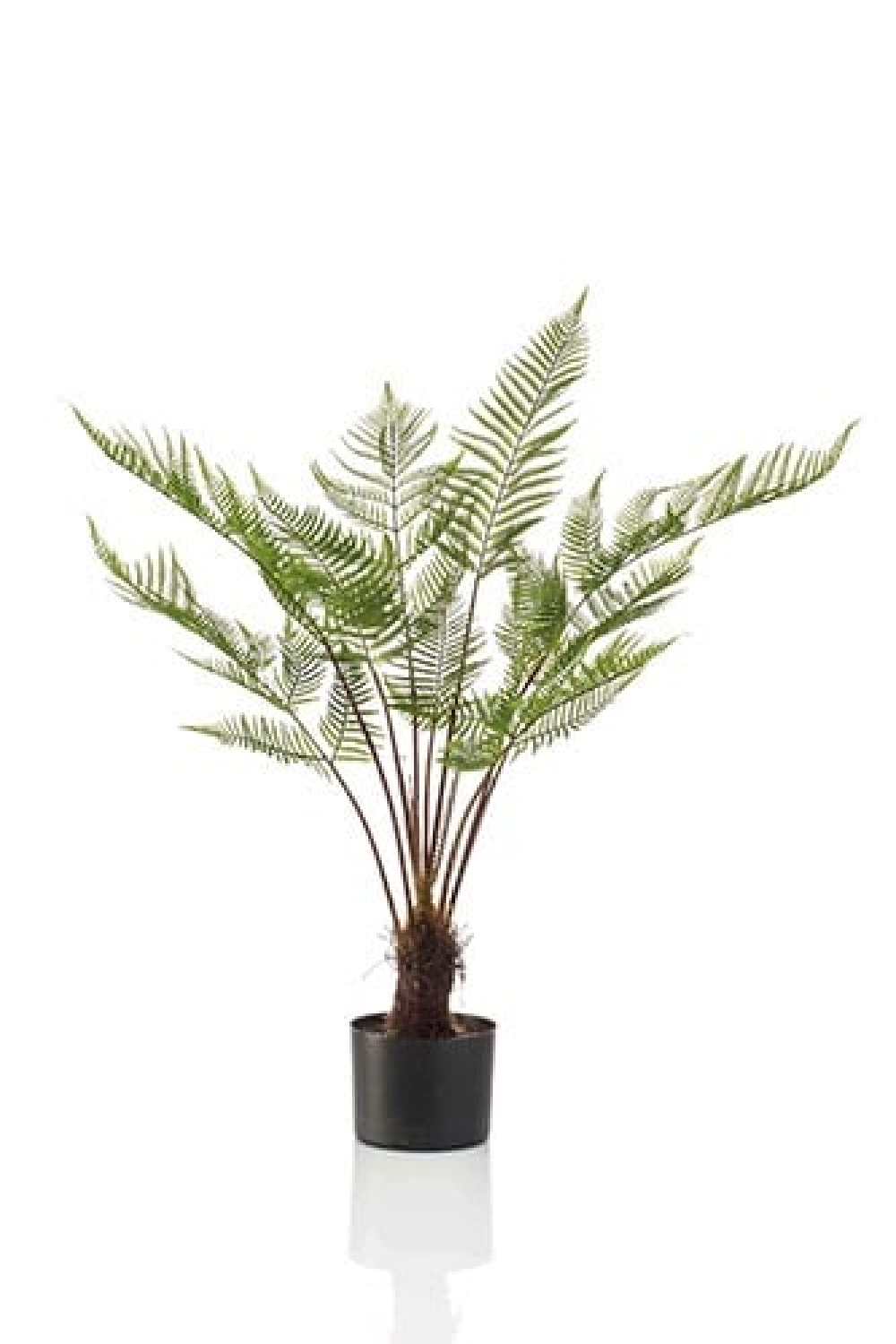 Potted Artificial Green Plants (2) | Emerald Fern | Oroa.com