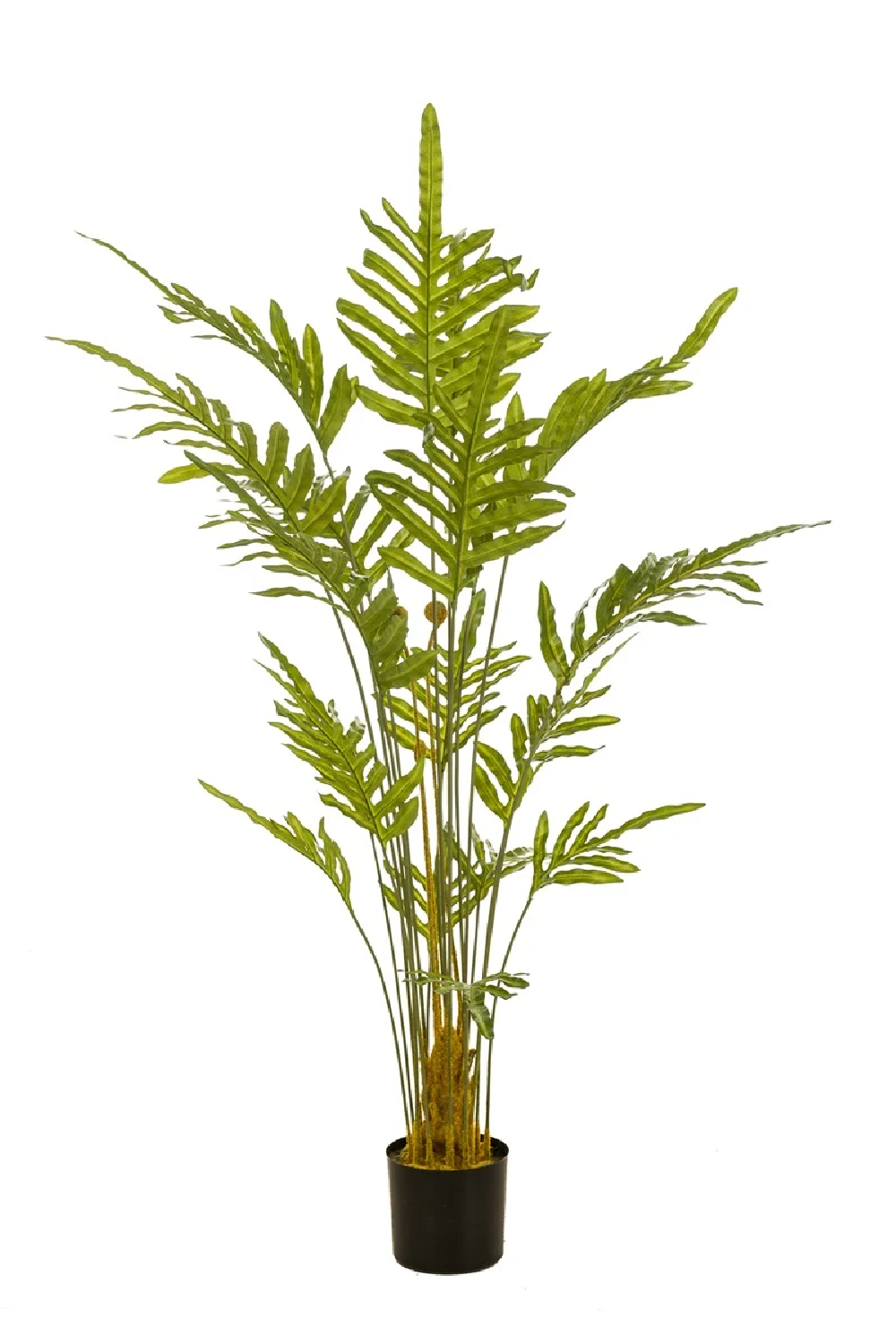 Potted Faux Frond Plants (2) | Emerald Fern | Oroa.com
