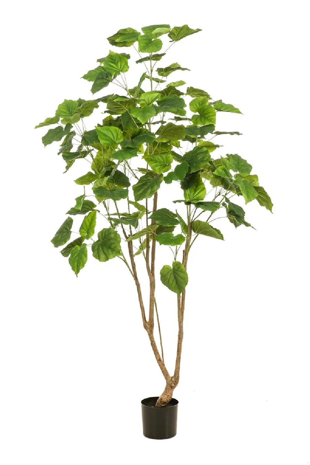 Heart-Shaped Leaf Faux Plants (2) | Emerald Fig | Oroa.com