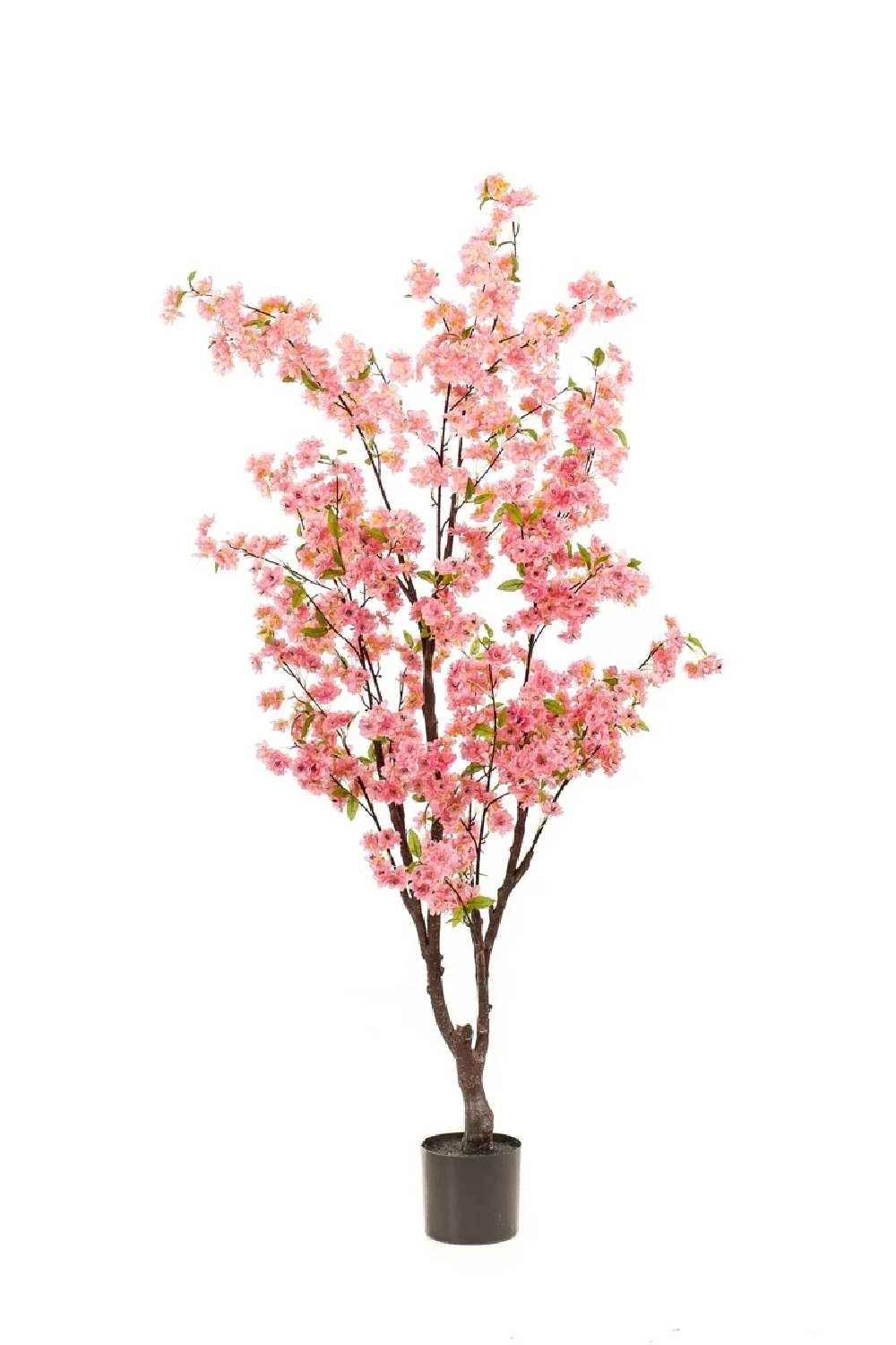 Faux Pink Sakura Trees - S (2) | Emerald Cherry Blossom | Oroa.com