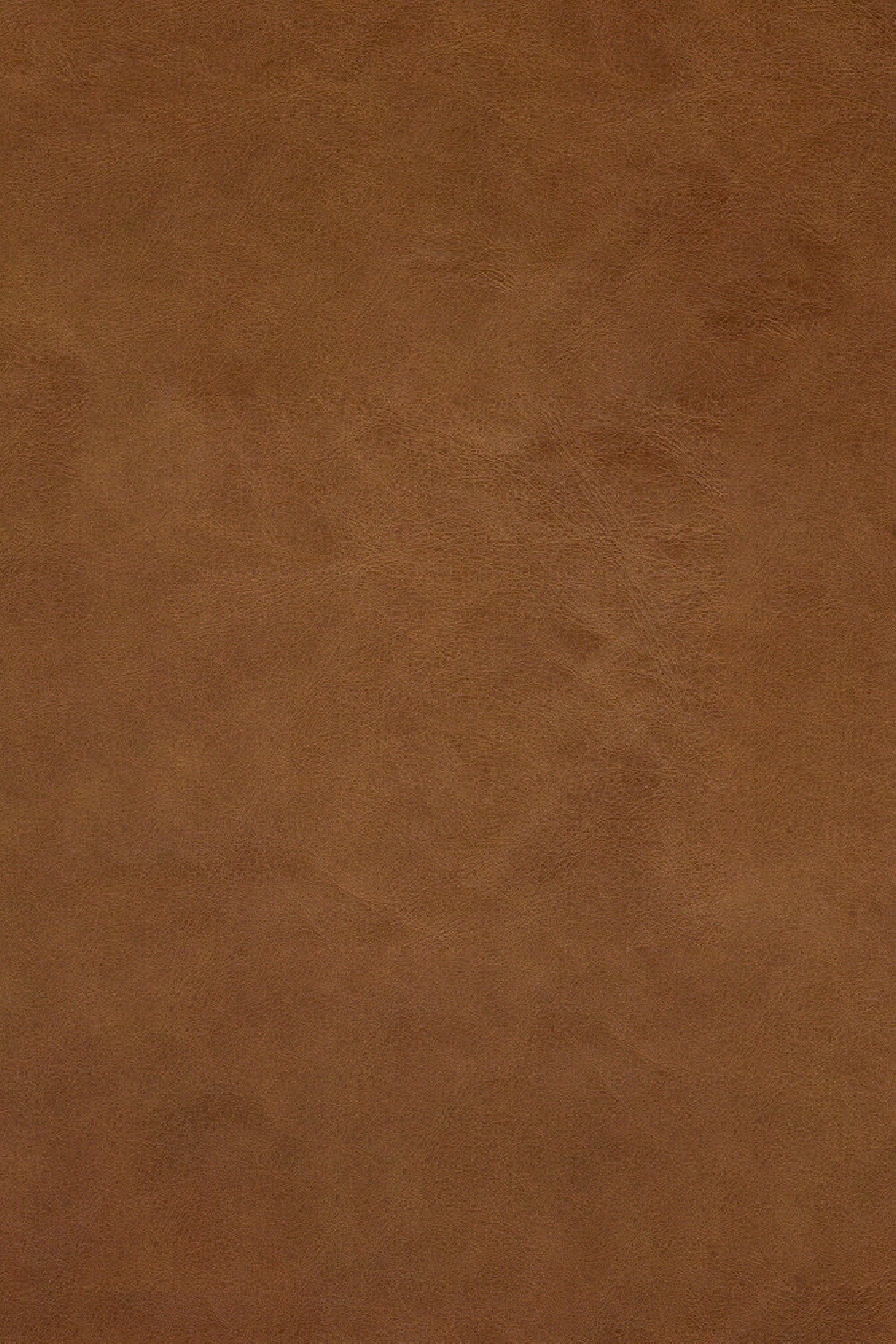 Brown Leather 2-Seater Modular Sofa | Ethnicraft N701 | Oroa.com