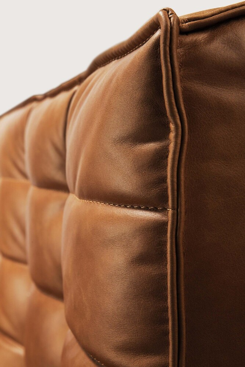 Brown Leather 3-Piece Modular Sofa | Ethnicraft N701