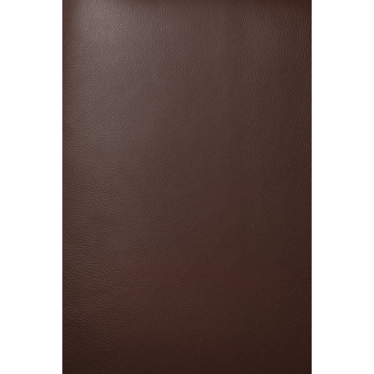 Brown Mahogany Lounge Chair | Ethnicraft Jack | Oroa.com