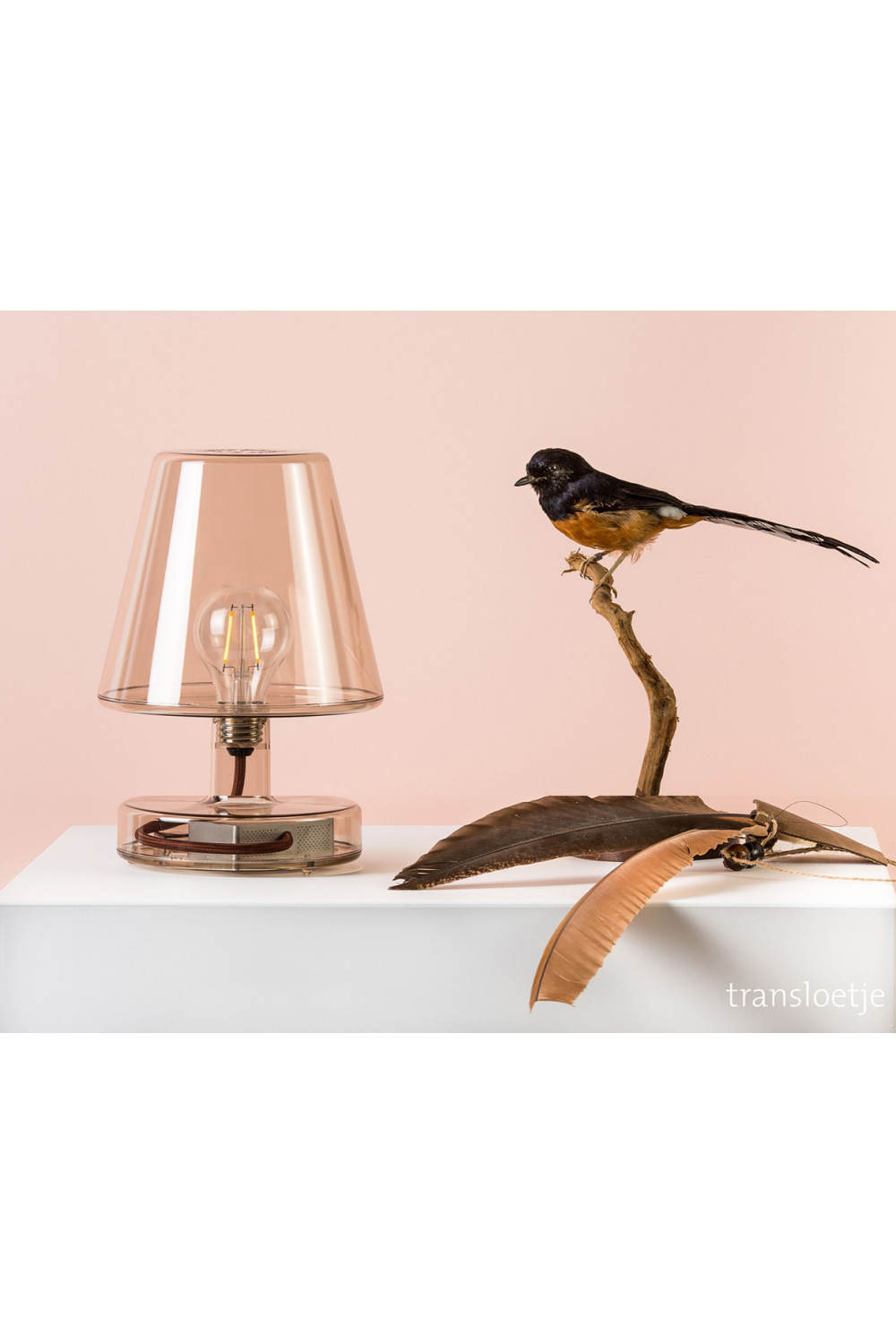 Modern Transparent Table Lamp | Fatboy Transloetje | OROA.com