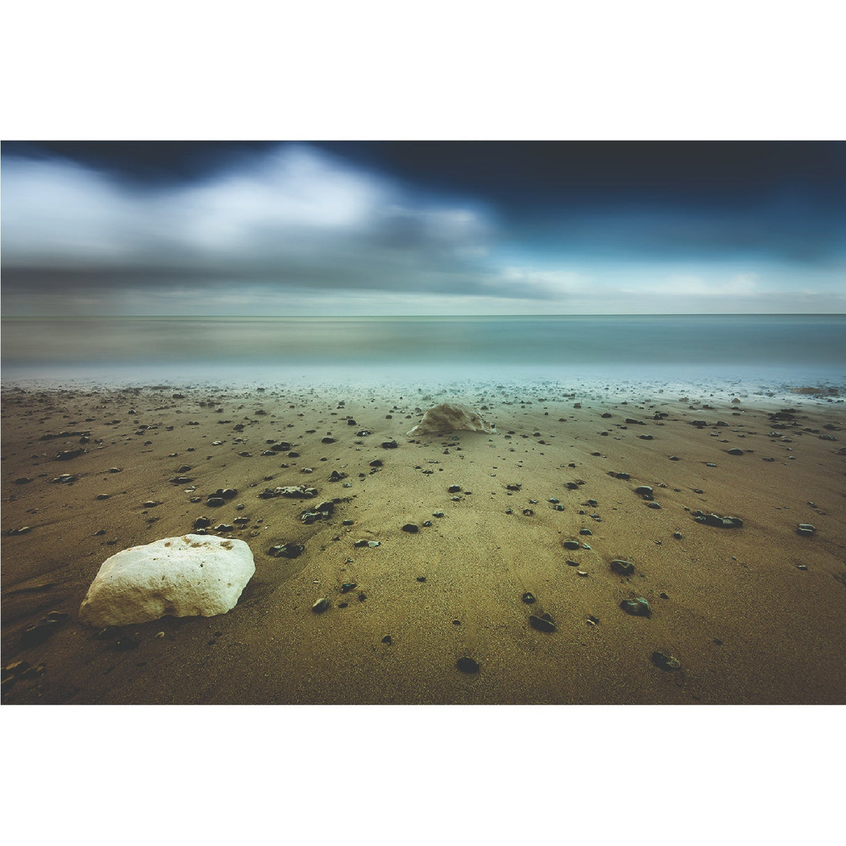 Shells Seashore photographic art print by Cobra Art