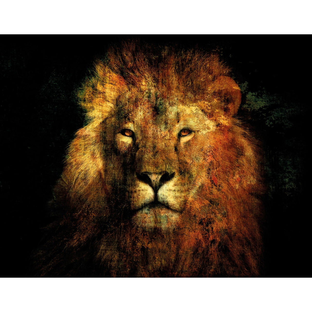 Lion's Law Jungle King Headshot photographic art print by Cobra Art