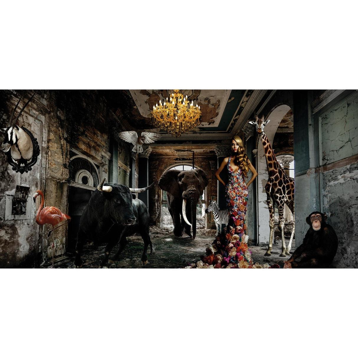 Animal Afternoon Beasts & Lady photographic art print by Cobra Art