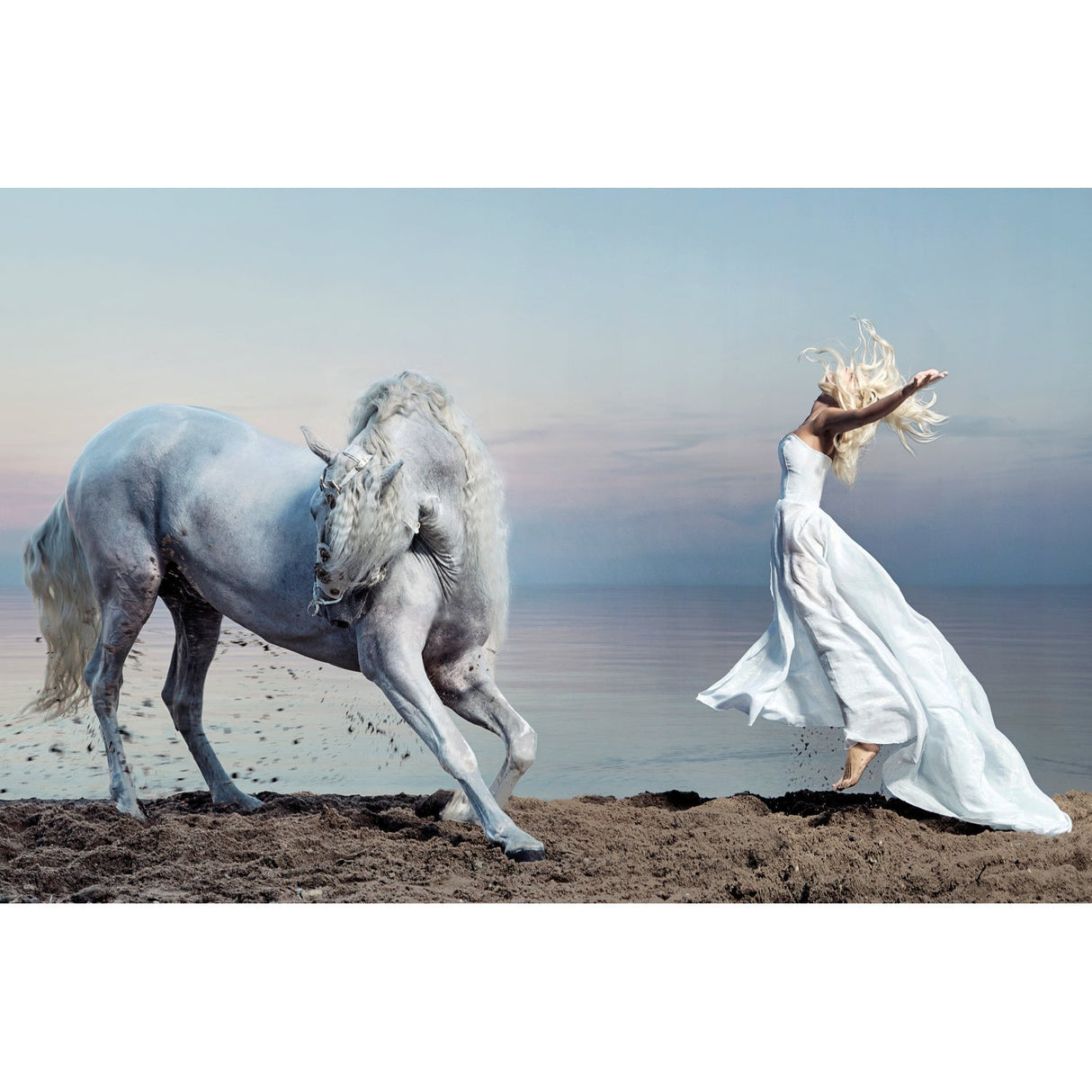 Living On Your Breath Woman & Silver Horse photographic art print by Cobra Art