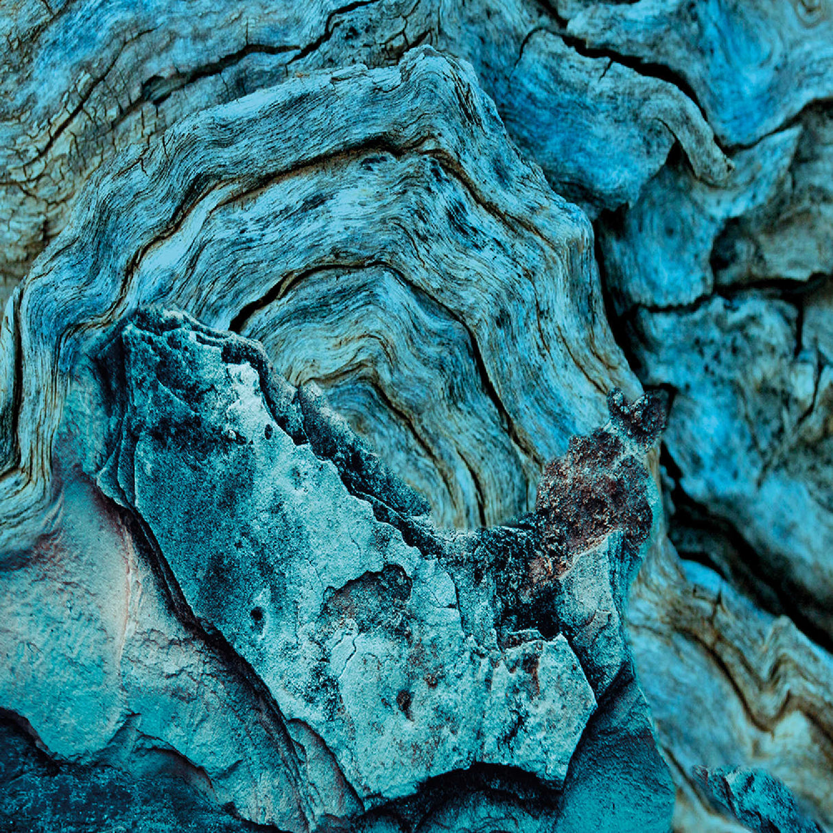 Out Of The Blue Modern Abstract photographic art print by Cobra Art