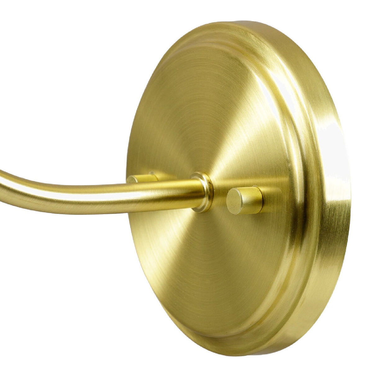Modern European furniture - Plated Metal Wall Lamp - www.oroa.com