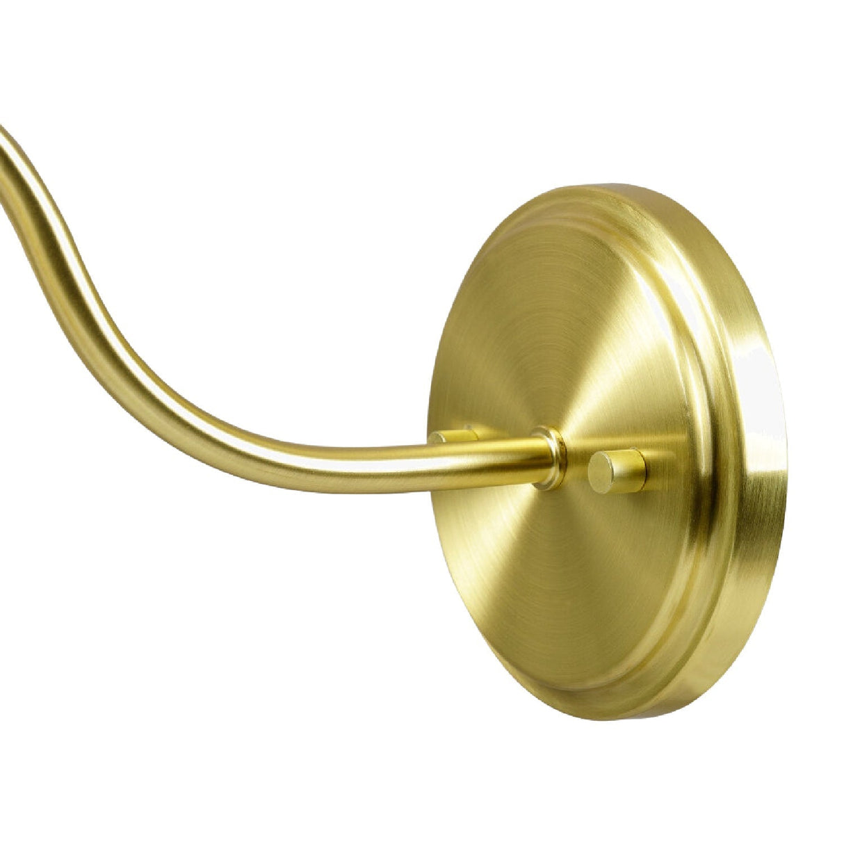Modern European furniture - Plated Metal Wall Lamp - www.oroa.com
