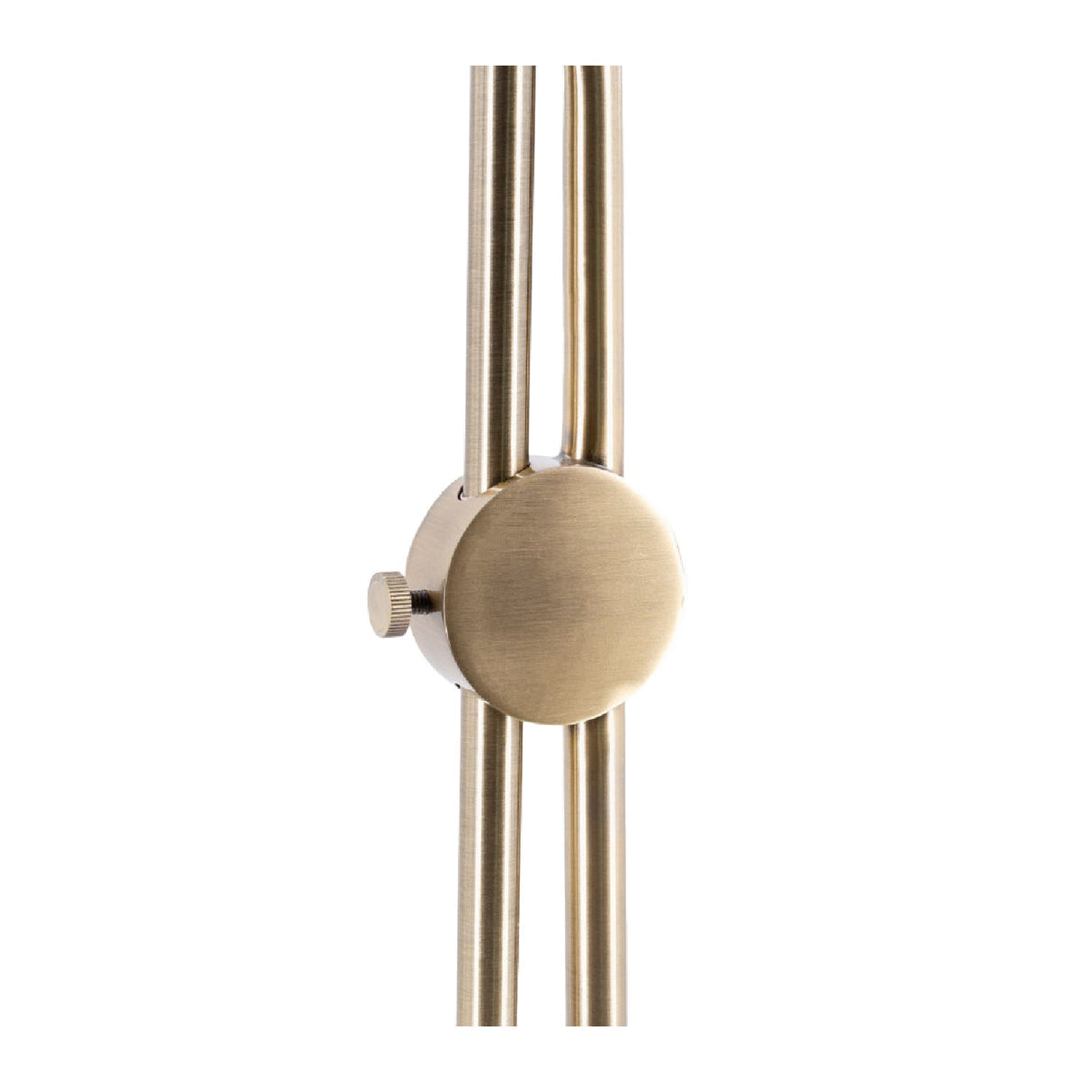 Modern European furniture - Antiqued Metallic Floor Lamp - www.oroa.com