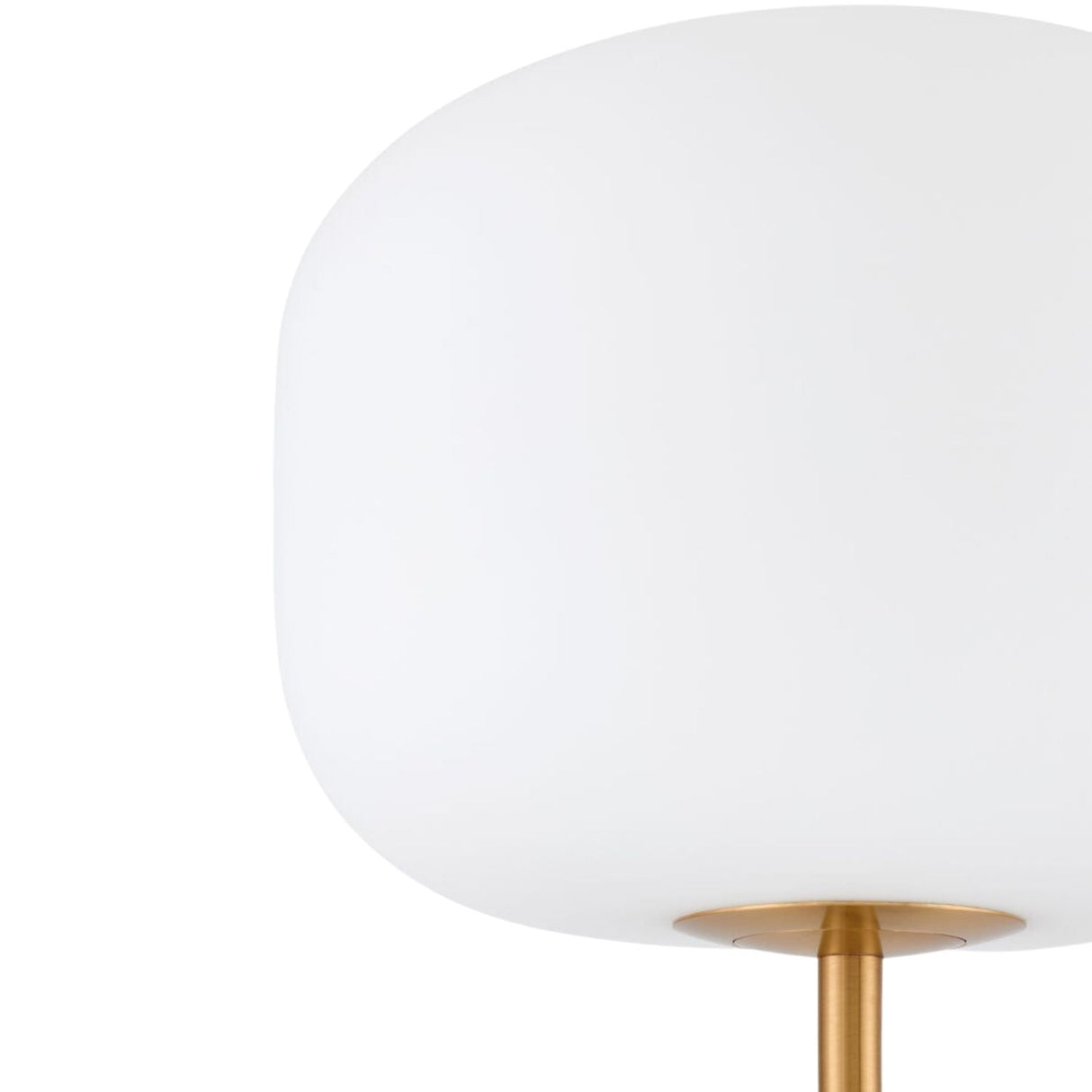 Modern European furniture - White Glass Accent Floor Lamp - www.oroa.com