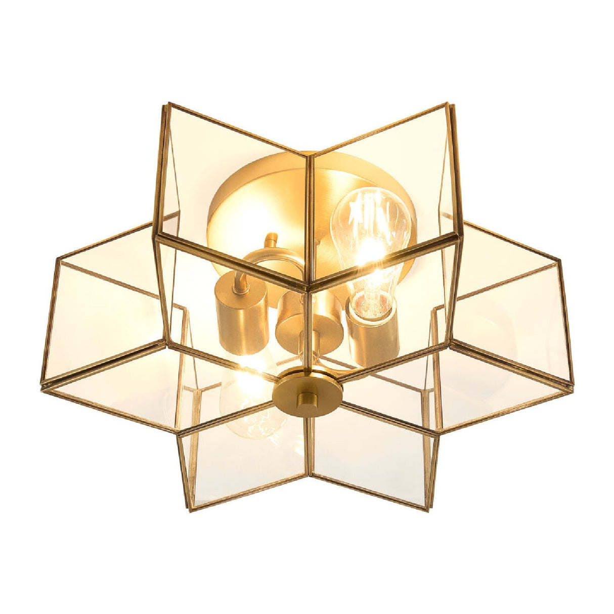 Modern European furniture - Iron-Framed Glass Ceiling Lamp - www.oroa.com