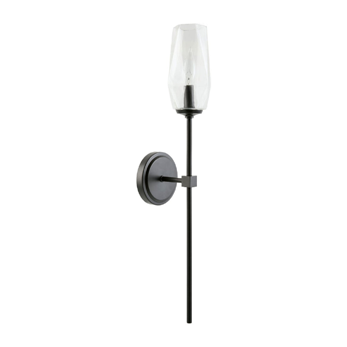 Modern European furniture - Clear Glass Shade Wall Lamp - www.oroa.com