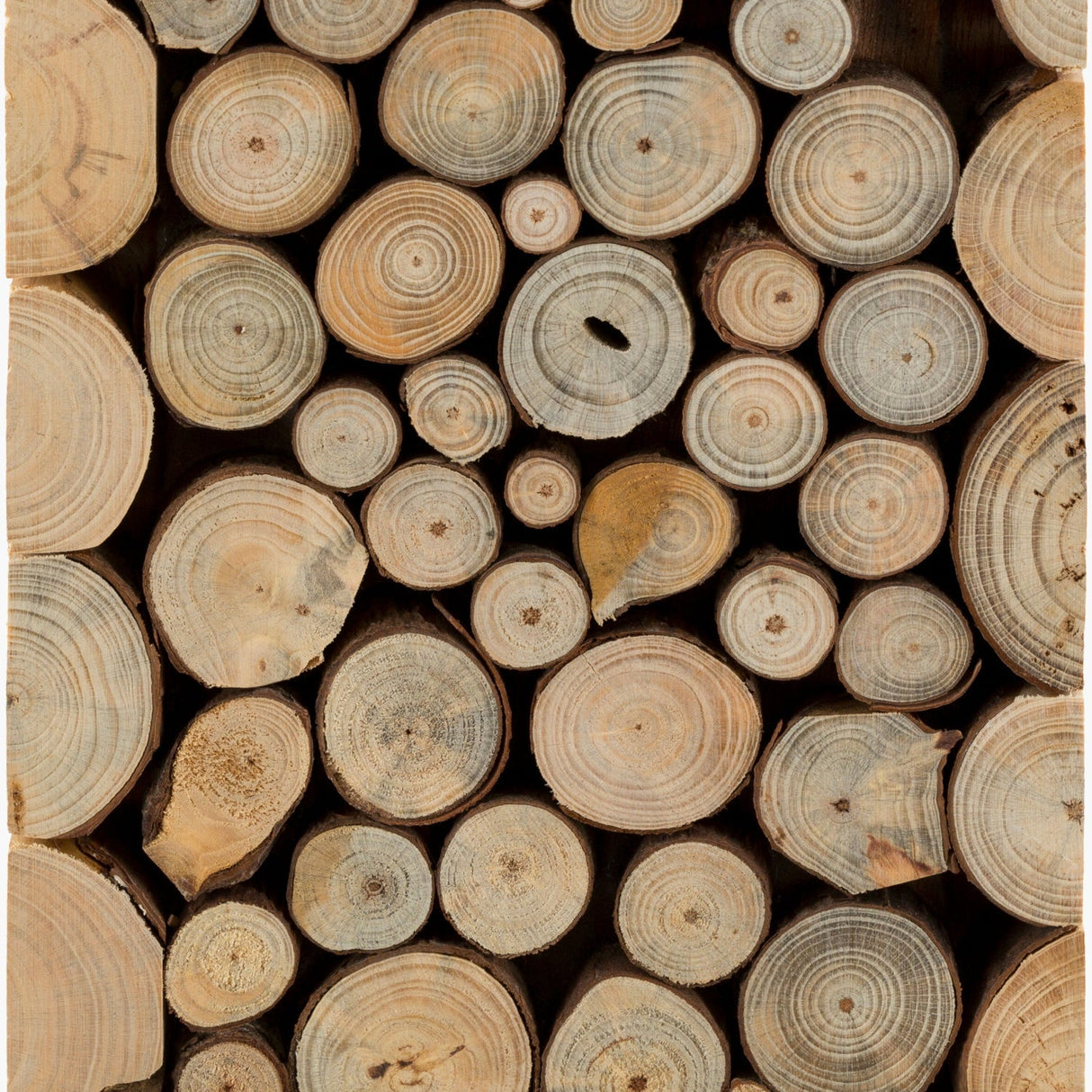 Modern European furniture - Natural Wood Stack Table Lamp - www.oroa.com