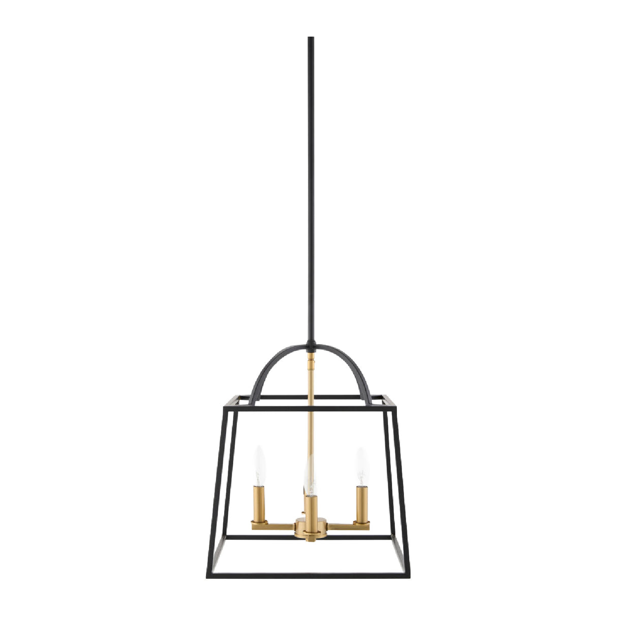 Modern European furniture - Black Iron Framed 4-Light Chandelier - www.oroa.com