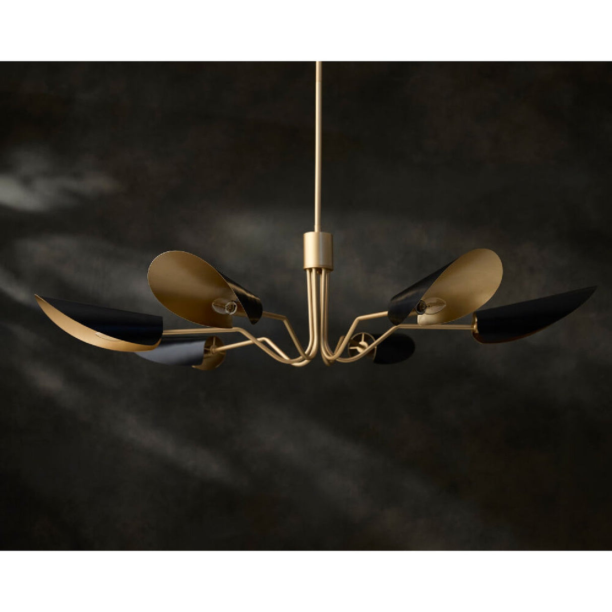 Modern European furniture - Black Metal Shades 6-Light Chandelier - www.oroa.com