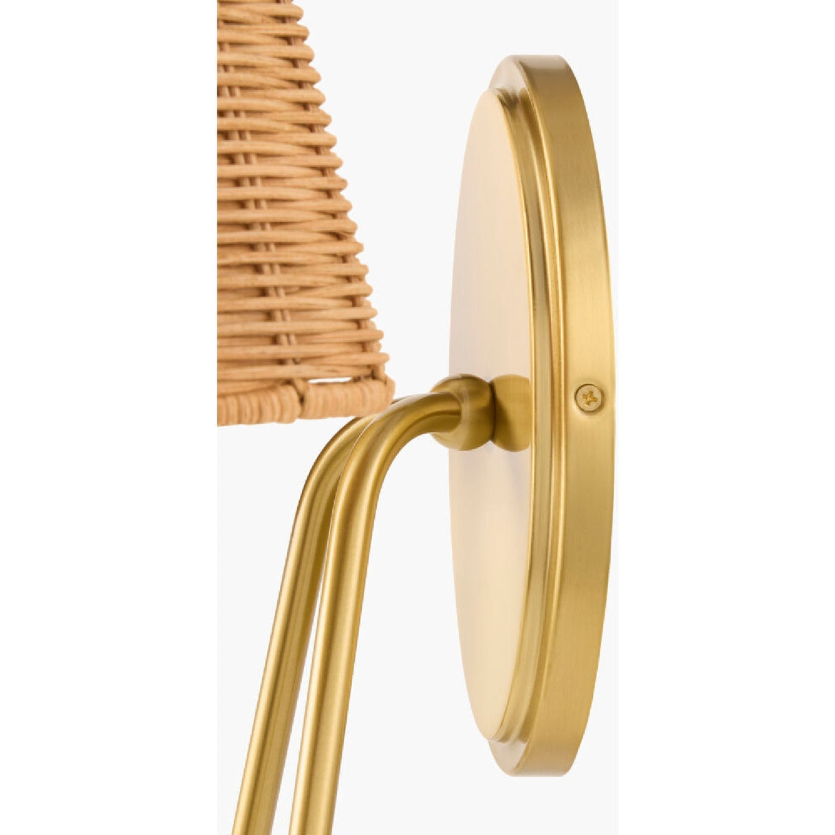 Modern European furniture - Rattan 2-Light Wall Lamp - www.oroa.com