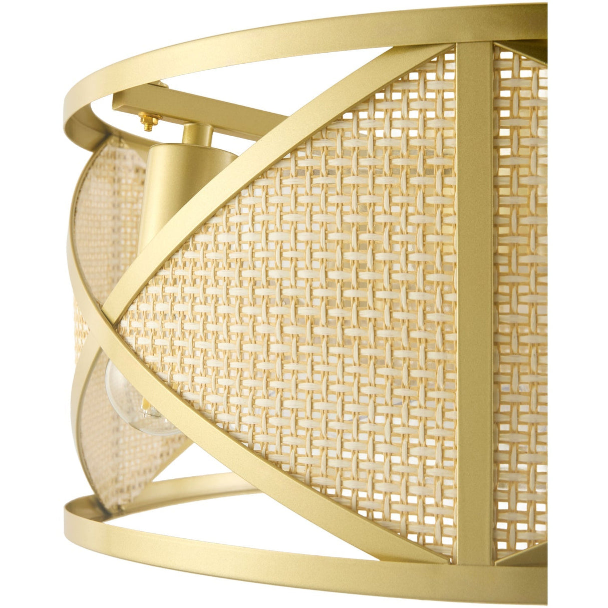 Modern European furniture - Gold Framed Rattan Chandelier - www.oroa.com