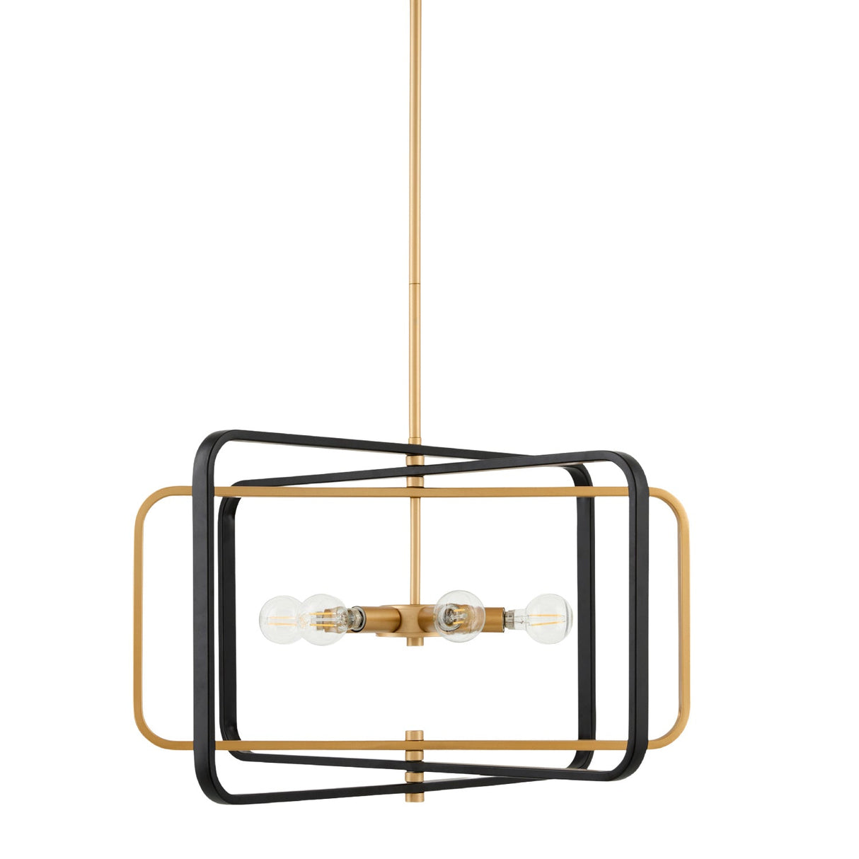 Modern European furniture - Iron Framed Chandelier - www.oroa.com