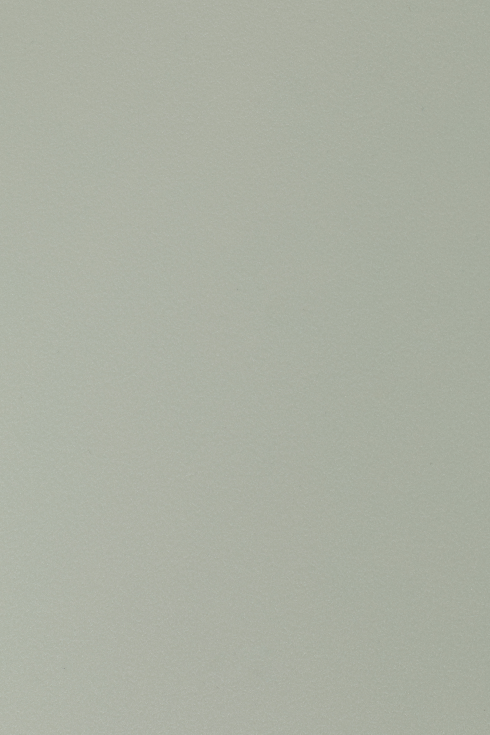 Curved Back Dining Chairs (2) | DF Gigi | Oroa.com