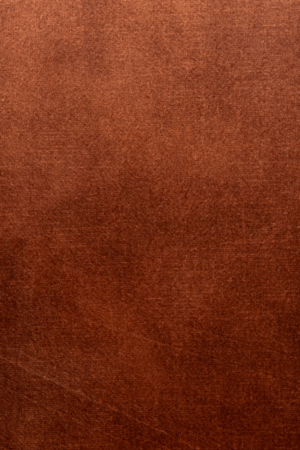 Velvet Modern Dining Armchairs (2) | DF Jamie | OROA.com