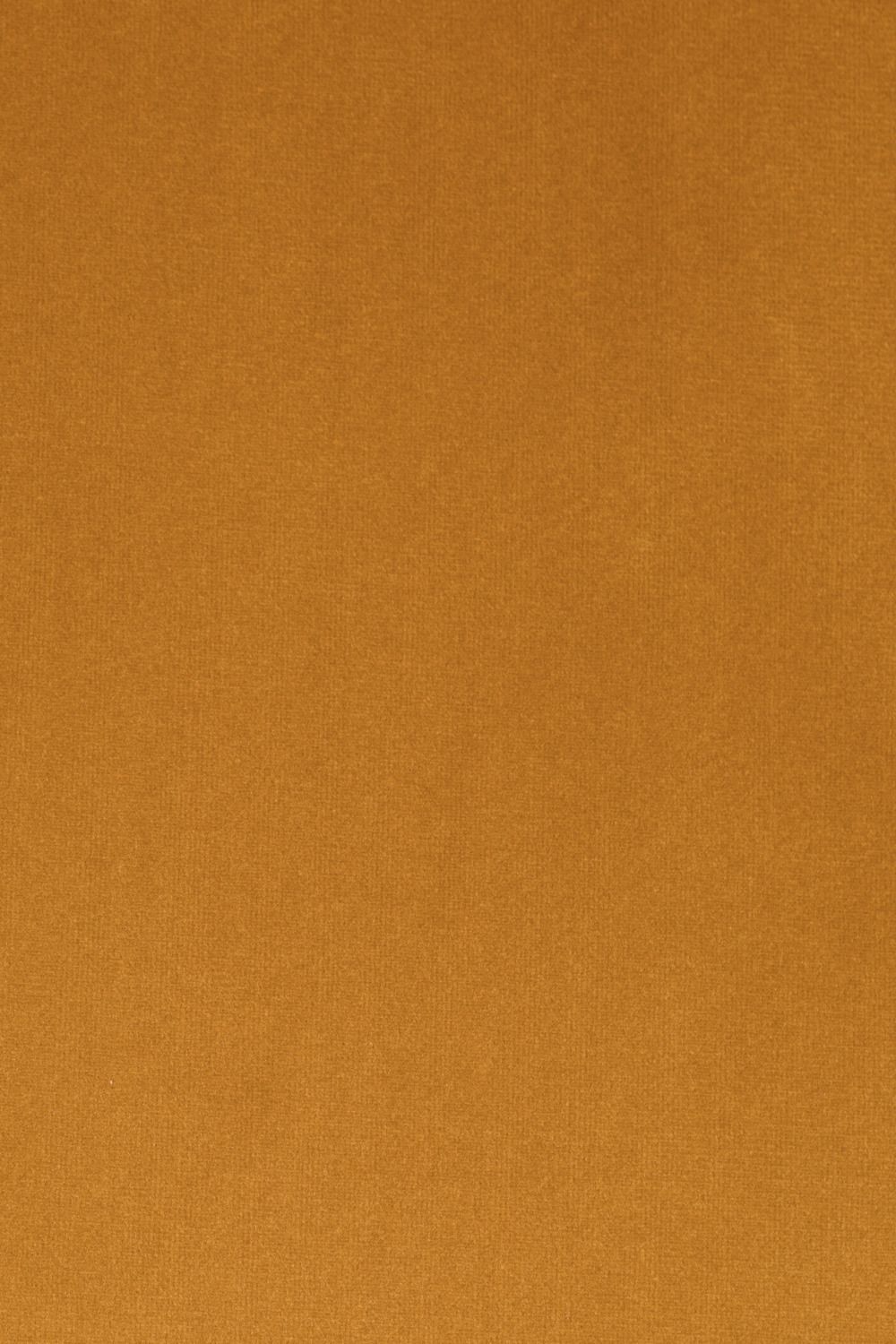 Gold Velvet Accent Chair | Oroa.com