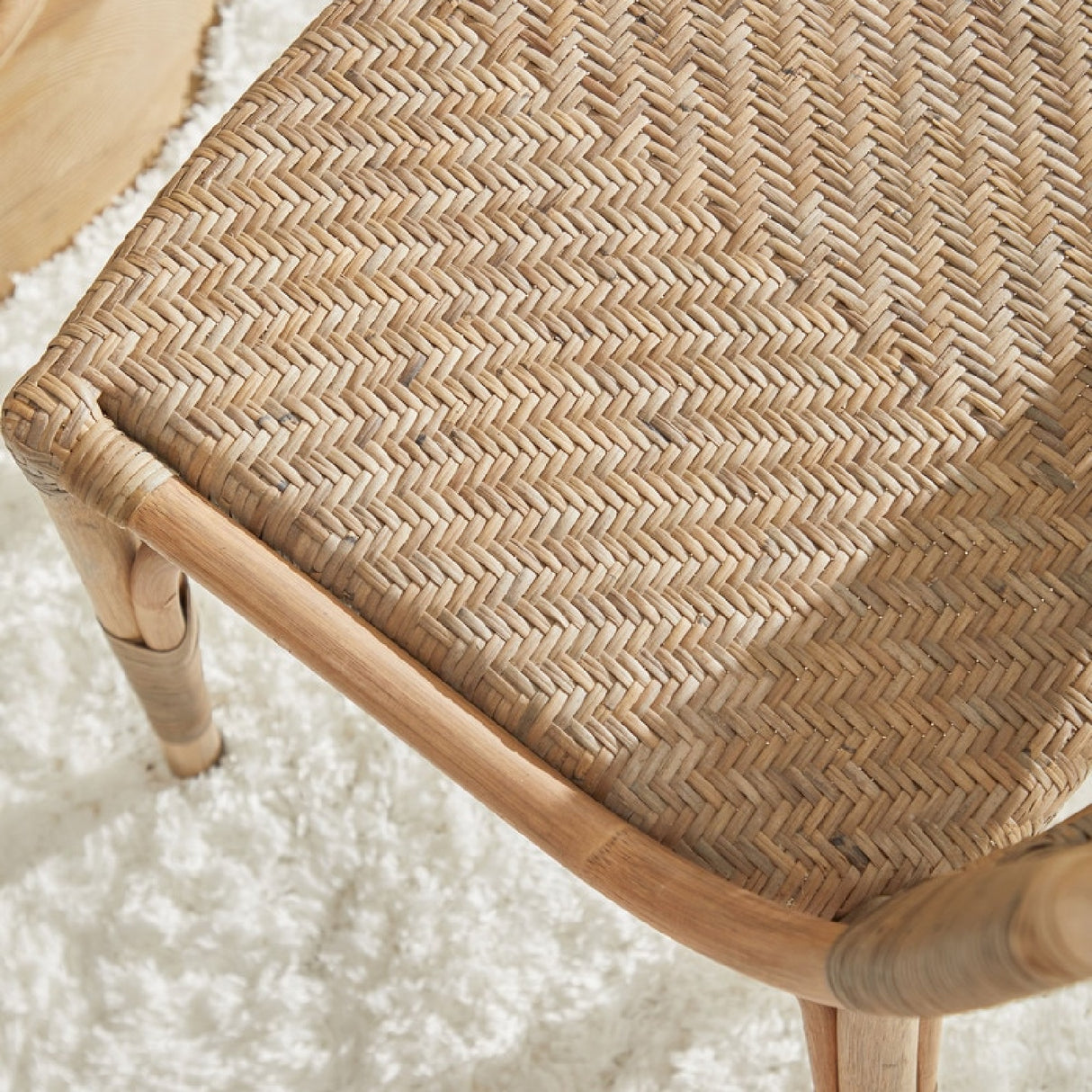Modern European furniture - Matte Gray Dining Chairs (2) - www.oroa.com
