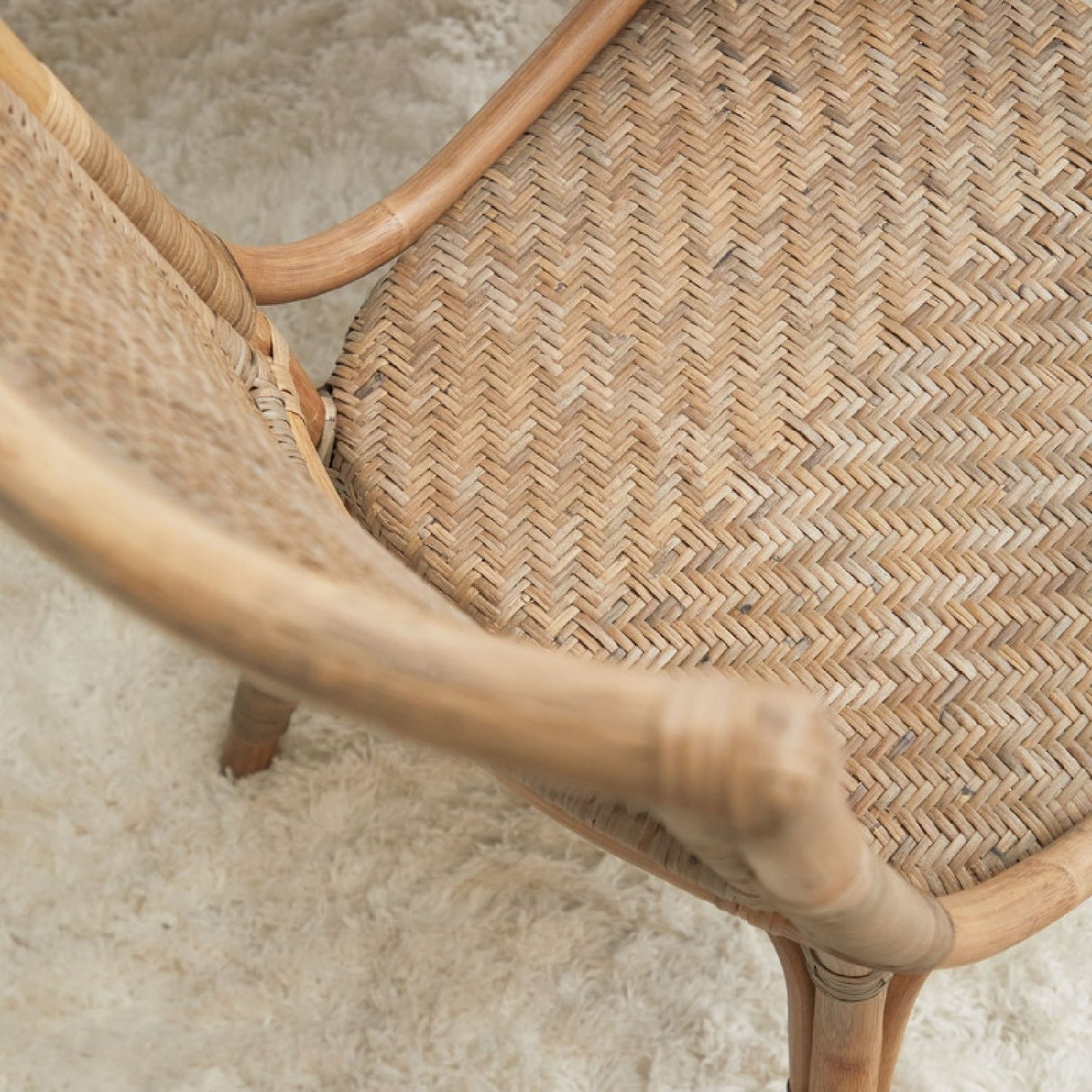 Modern European furniture - Matte Gray Dining Chairs (2) - www.oroa.com