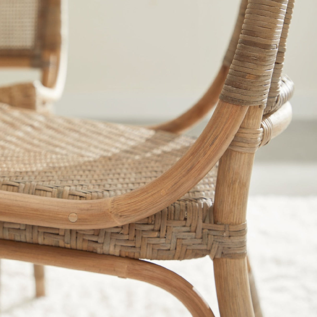 Modern European furniture - Matte Gray Dining Chairs (2) - www.oroa.com