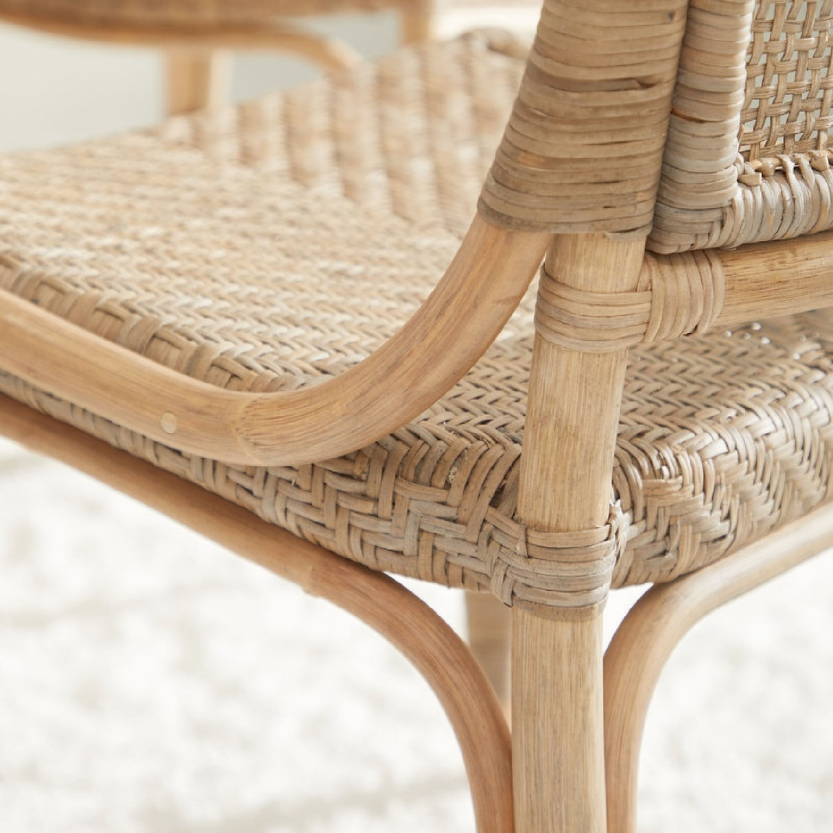 Modern European furniture - Matte Gray Dining Chairs (2) - www.oroa.com