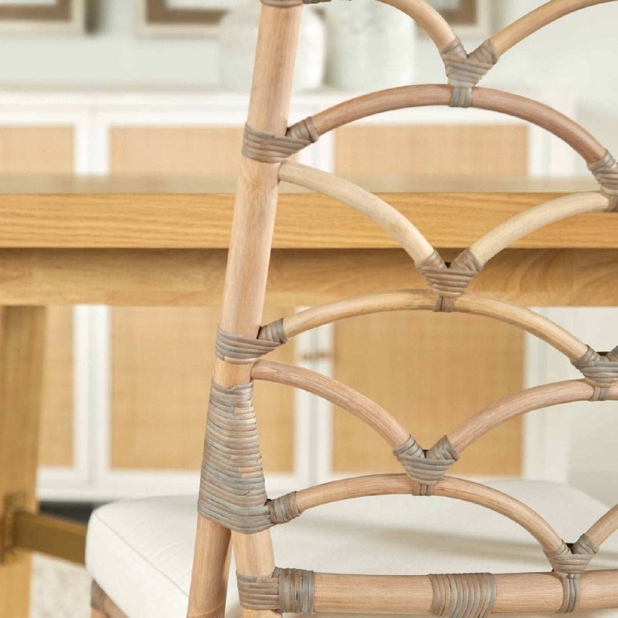 Modern European furniture - Matte Gray Rattan Dining Chairs (2) - www.oroa.com