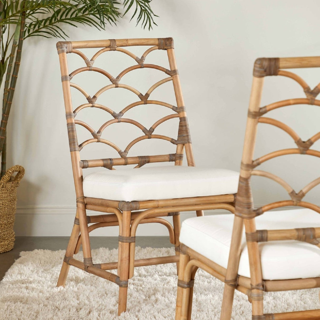Modern European furniture - Matte Gray Rattan Dining Chairs (2) - www.oroa.com