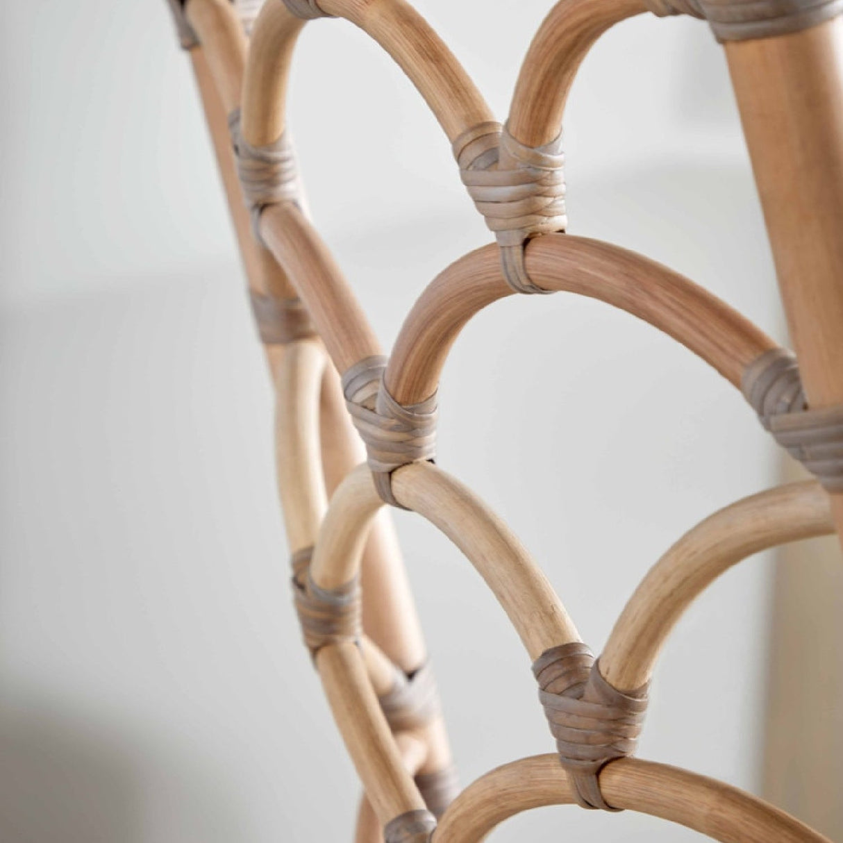 Modern European furniture - Matte Gray Rattan Dining Chairs (2) - www.oroa.com