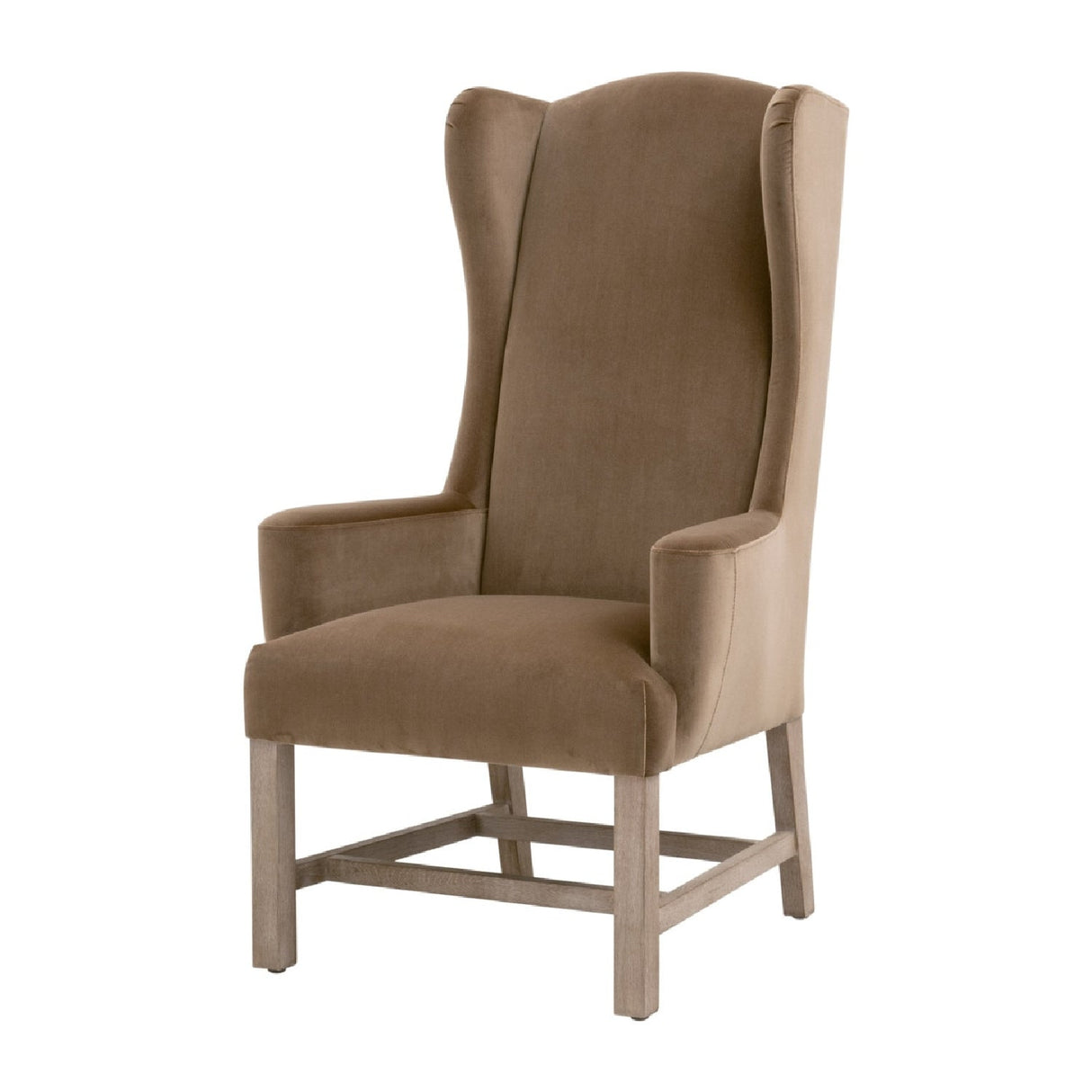 Modern European furniture - Brown Velvet High-Back Accent Chair - www.oroa.com