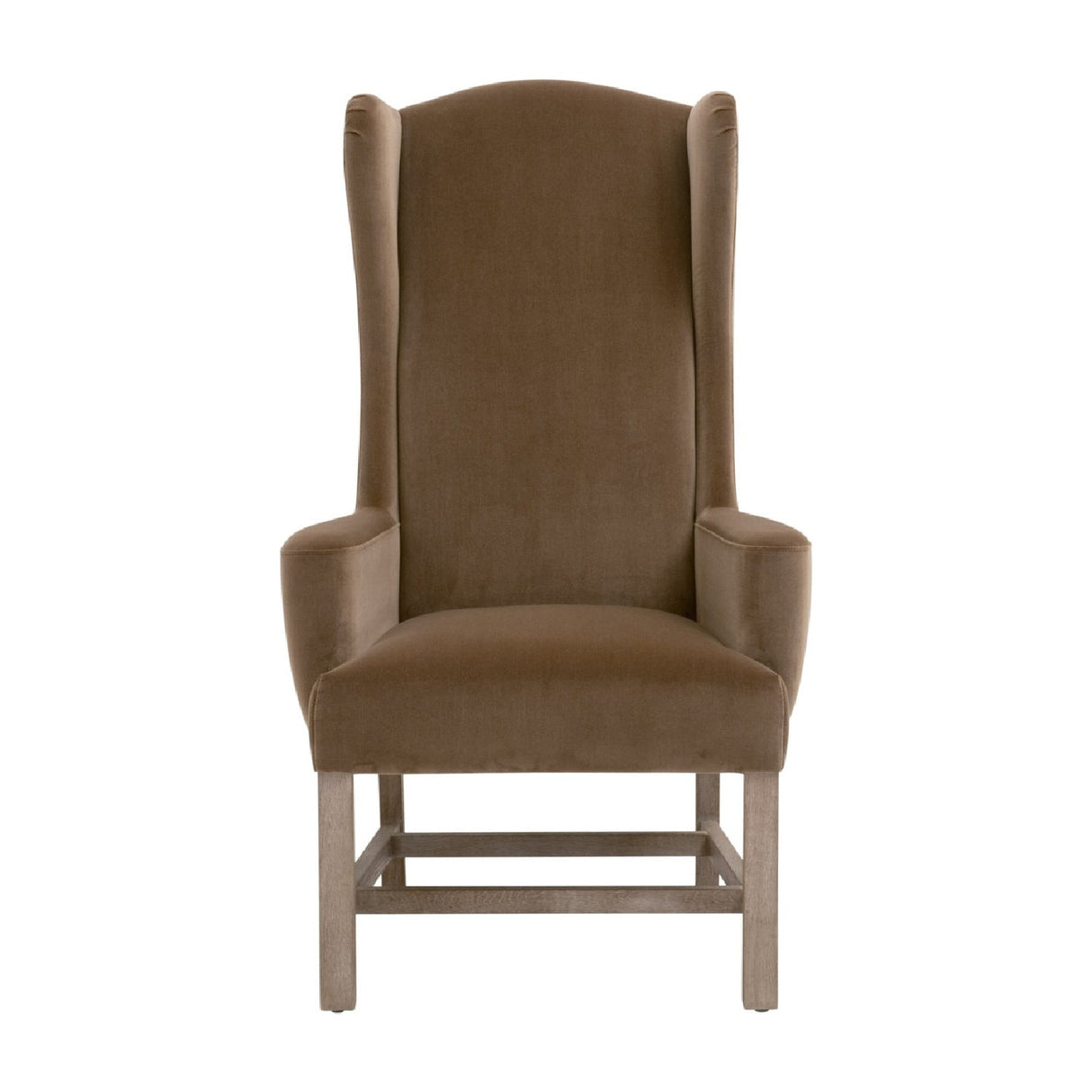 Modern European furniture - Brown Velvet High-Back Accent Chair - www.oroa.com